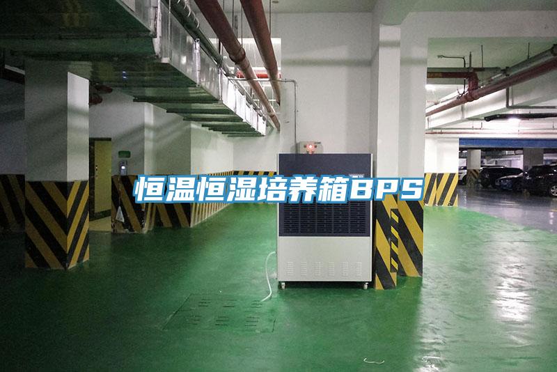 恒溫恒濕培養箱BPS