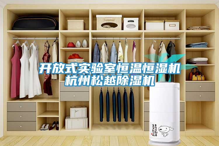 開放式實驗室恒溫恒濕機杭州松越除濕機