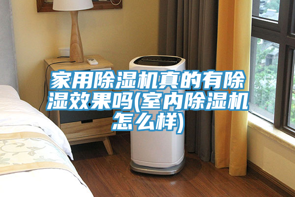 家用除濕機真的有除濕效果嗎(室內除濕機怎么樣)