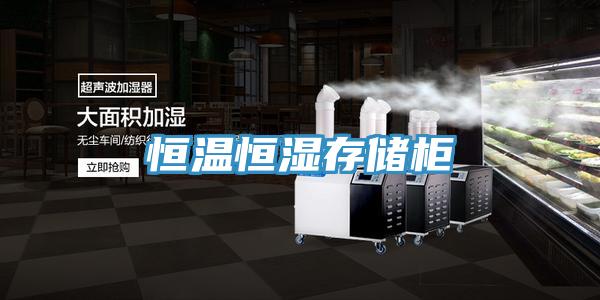 恒溫恒濕存儲柜