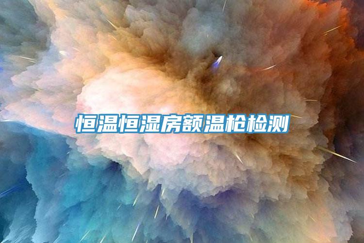 恒溫恒濕房額溫槍檢測