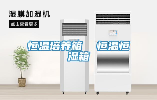 恒溫培養箱  恒溫恒濕箱