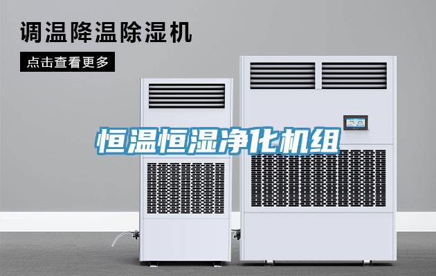 恒溫恒濕凈化機組