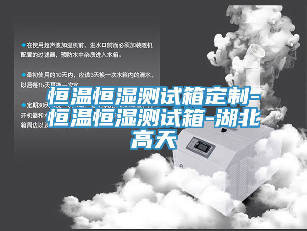 恒溫恒濕測試箱定制-恒溫恒濕測試箱-湖北高天