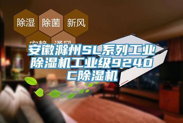 安徽滁州SL系列工業除濕機工業級9240C除濕機