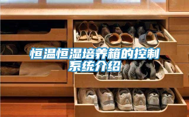 恒溫恒濕培養箱的控制系統介紹