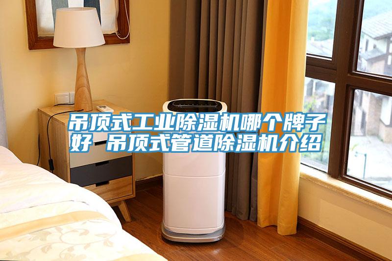 吊頂式工業除濕機哪個牌子好 吊頂式管道除濕機介紹