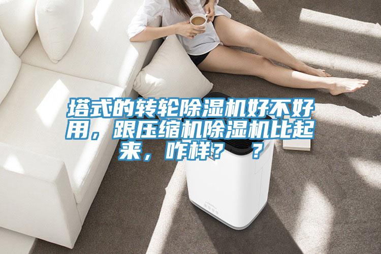塔式的轉輪除濕機好不好用，跟壓縮機除濕機比起來，咋樣？ ？