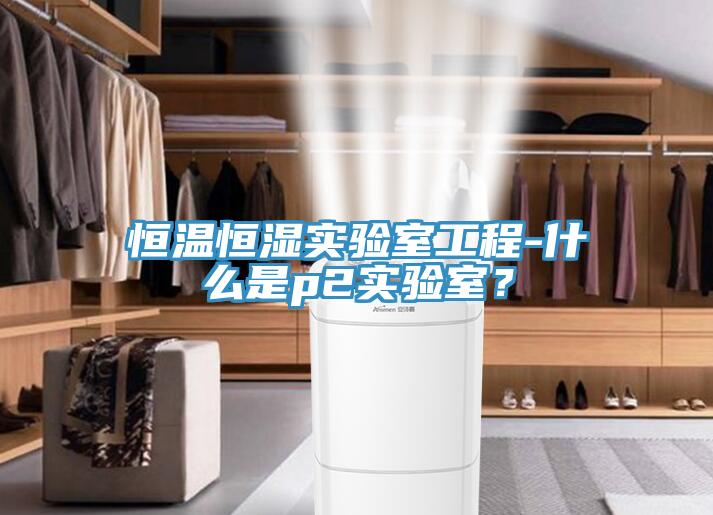 恒溫恒濕實驗室工程-什么是p2實驗室？
