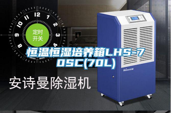 恒溫恒濕培養箱LHS-70SC(70L)