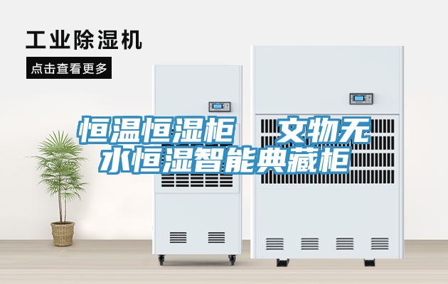 恒溫恒濕柜  文物無水恒濕智能典藏柜