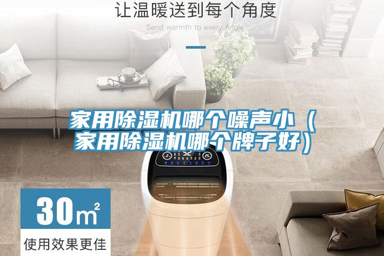 家用除濕機哪個噪聲?。矣贸凉駲C哪個牌子好）