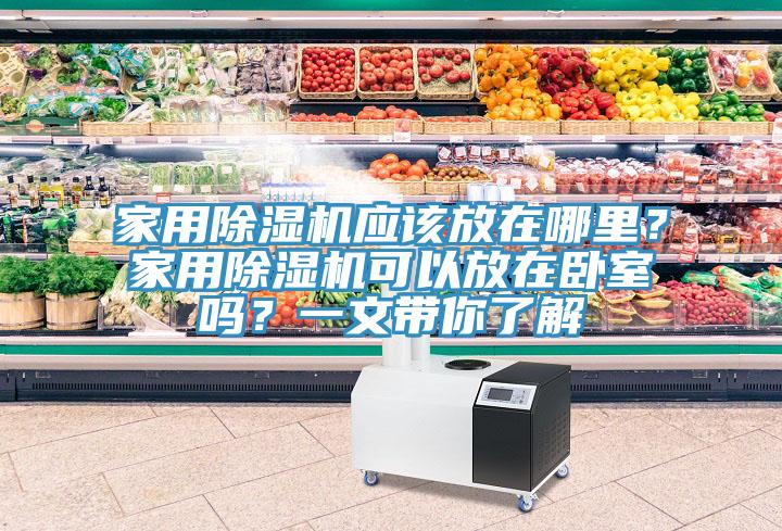 家用除濕機應該放在哪里？家用除濕機可以放在臥室嗎？一文帶你了解