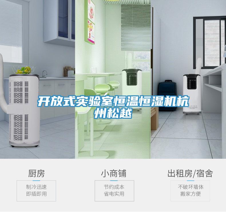 開放式實驗室恒溫恒濕機杭州松越