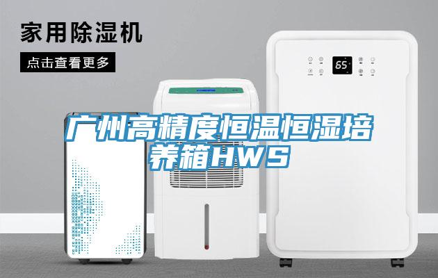 廣州高精度恒溫恒濕培養箱HWS