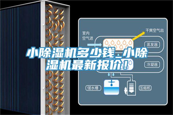 小除濕機多少錢_小除濕機最新報價！