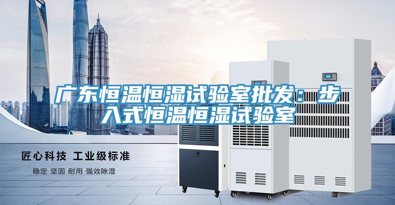 廣東恒溫恒濕試驗室批發：步入式恒溫恒濕試驗室