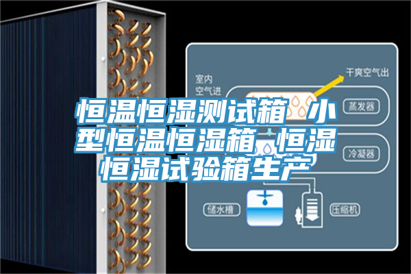 恒溫恒濕測試箱 小型恒溫恒濕箱 恒濕恒濕試驗箱生產