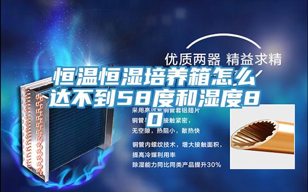 恒溫恒濕培養箱怎么達不到58度和濕度80