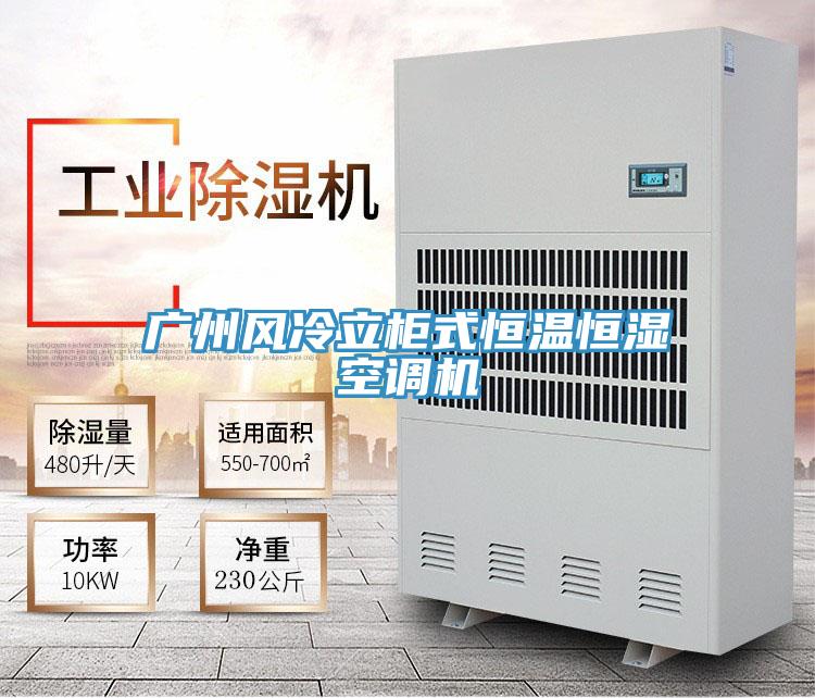 廣州風冷立柜式恒溫恒濕空調機