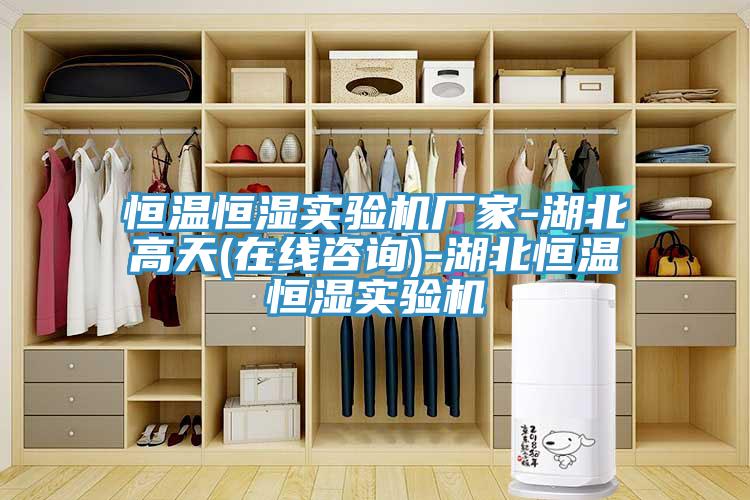 恒溫恒濕實驗機廠家-湖北高天(在線咨詢)-湖北恒溫恒濕實驗機