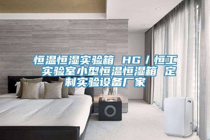 恒溫恒濕實驗箱 HG／恒工 實驗室小型恒溫恒濕箱 定制實驗設備廠家