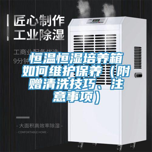 恒溫恒濕培養箱如何維護保養（附贈清洗技巧、注意事項）
