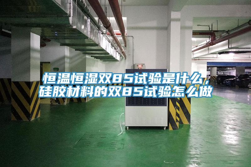 恒溫恒濕雙85試驗是什么，硅膠材料的雙85試驗怎么做