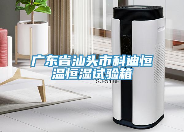 廣東省汕頭市科迪恒溫恒濕試驗箱