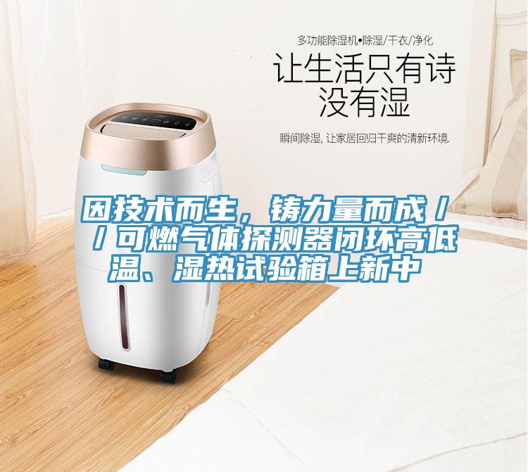 因技術而生，鑄力量而成／／可燃氣體探測器閉環高低溫、濕熱試驗箱上新中