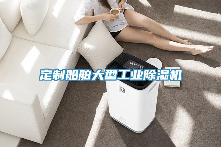 定制船舶大型工業除濕機