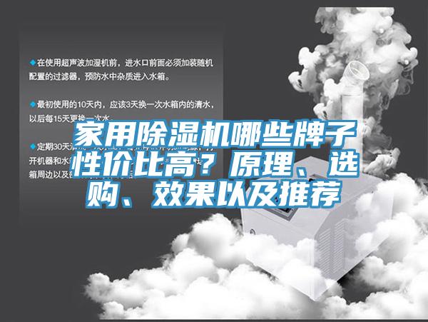 家用除濕機哪些牌子性價比高？原理、選購、效果以及推薦