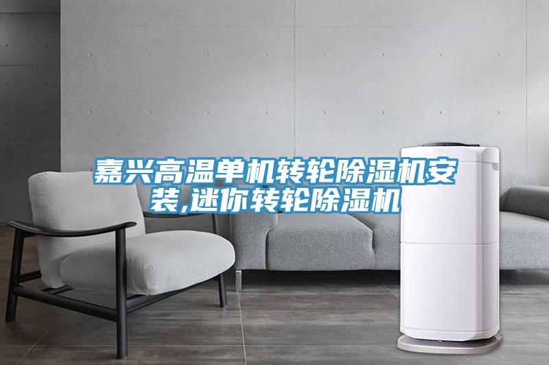 嘉興高溫單機轉輪除濕機安裝,迷你轉輪除濕機