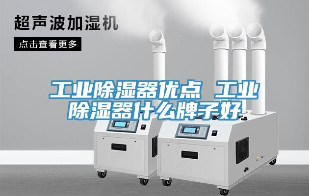 工業除濕器優點 工業除濕器什么牌子好