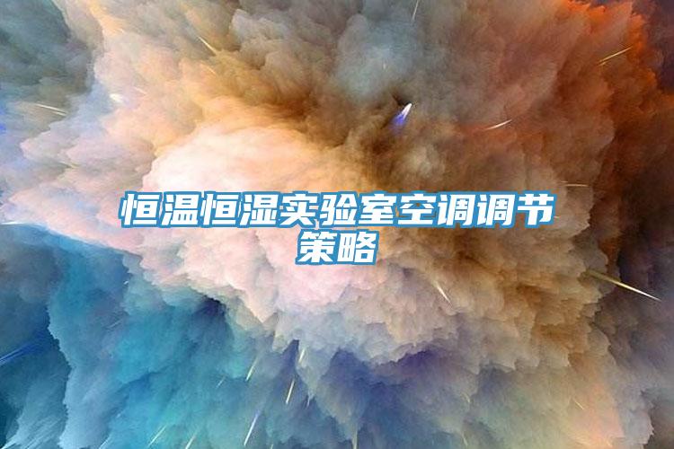 恒溫恒濕實驗室空調調節策略
