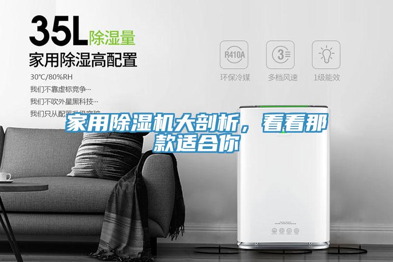 家用除濕機大剖析，看看那款適合你