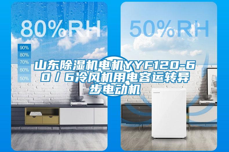 山東除濕機電機YYF120-60／6冷風機用電容運轉異步電動機