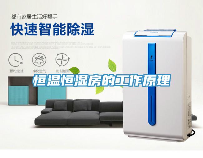 恒溫恒濕房的工作原理