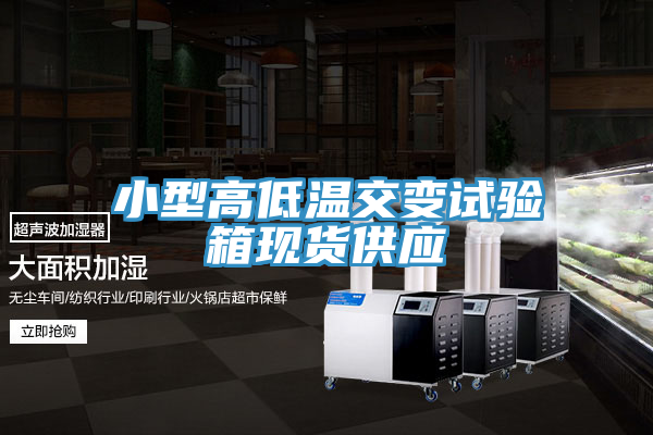 小型高低溫交變試驗箱現貨供應
