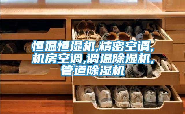 恒溫恒濕機,精密空調,機房空調,調溫除濕機,管道除濕機