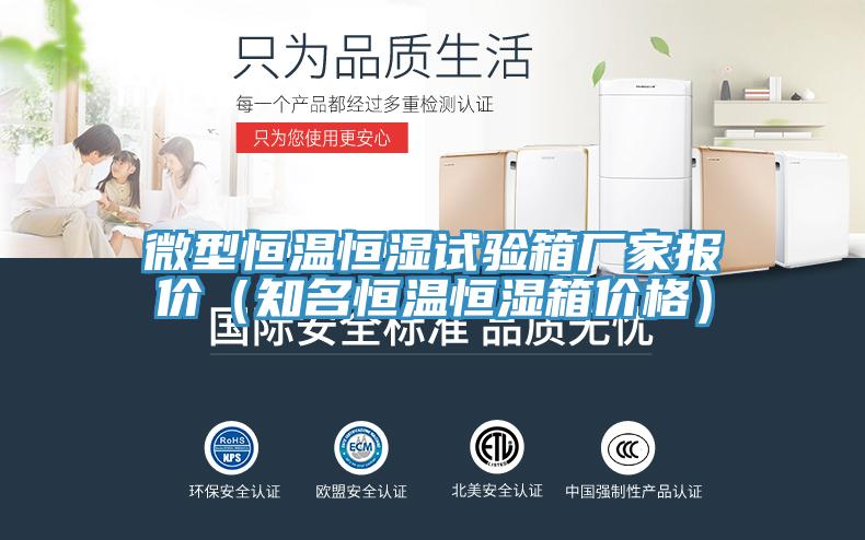 微型恒溫恒濕試驗箱廠家報價（知名恒溫恒濕箱價格）