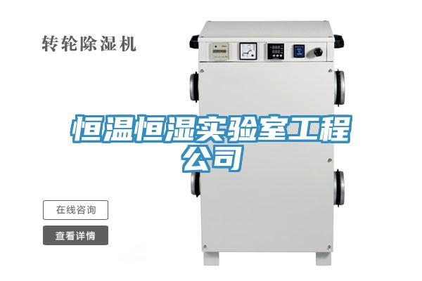 恒溫恒濕實驗室工程公司