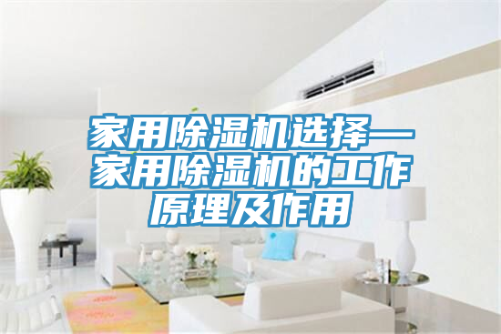家用除濕機選擇—家用除濕機的工作原理及作用