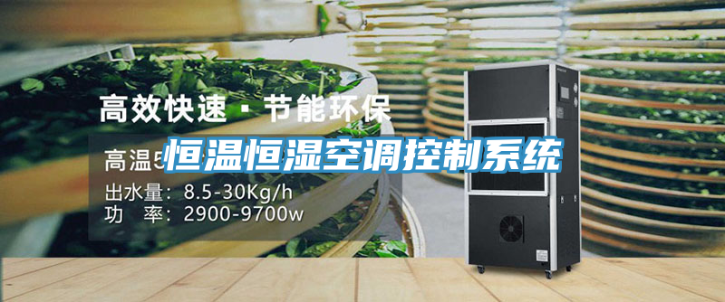 恒溫恒濕空調控制系統