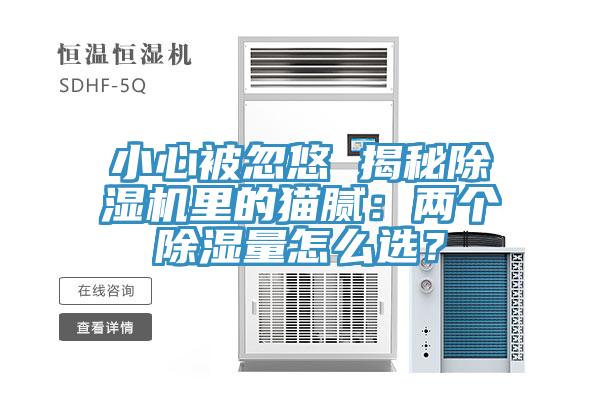 小心被忽悠 揭秘除濕機里的貓膩：兩個除濕量怎么選？