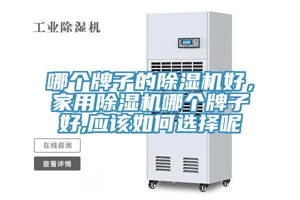 哪個牌子的除濕機好，家用除濕機哪個牌子好,應該如何選擇呢
