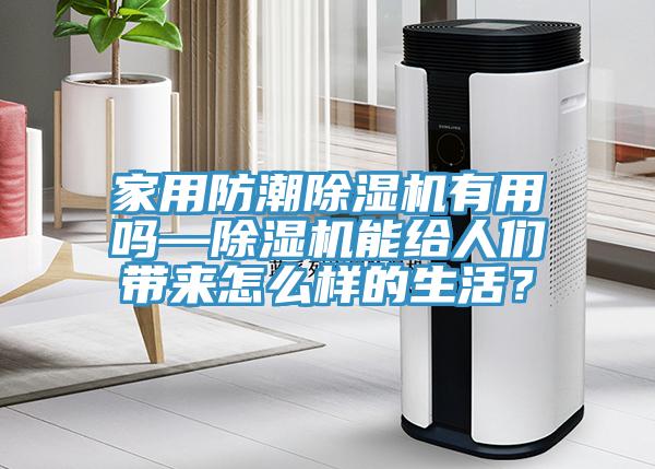 家用防潮除濕機有用嗎—除濕機能給人們帶來怎么樣的生活？