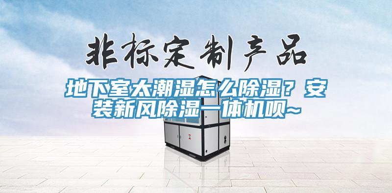 地下室太潮濕怎么除濕？安裝新風除濕一體機唄~