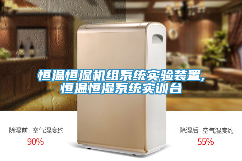 恒溫恒濕機組系統實驗裝置,恒溫恒濕系統實訓臺