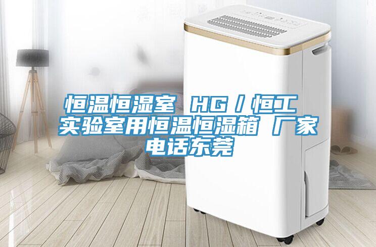 恒溫恒濕室 HG／恒工 實驗室用恒溫恒濕箱 廠家電話東莞